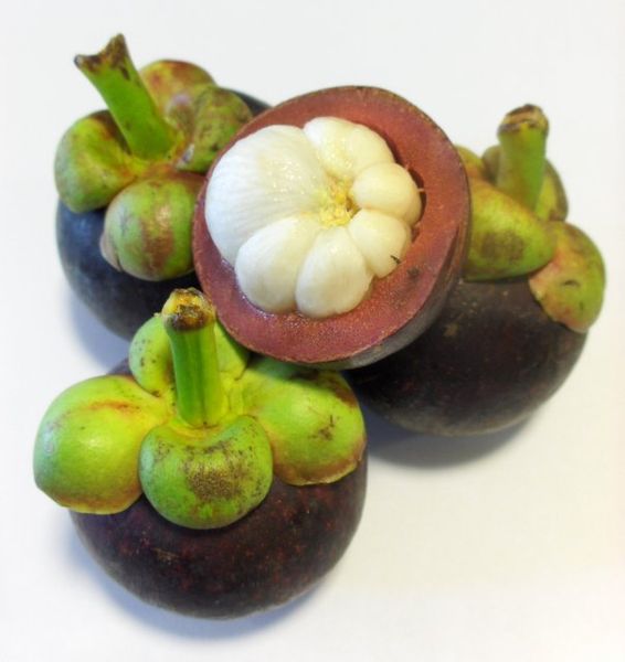 The mangosteen.