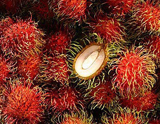 Rambutan means "hairy" in Indonesian and Malay