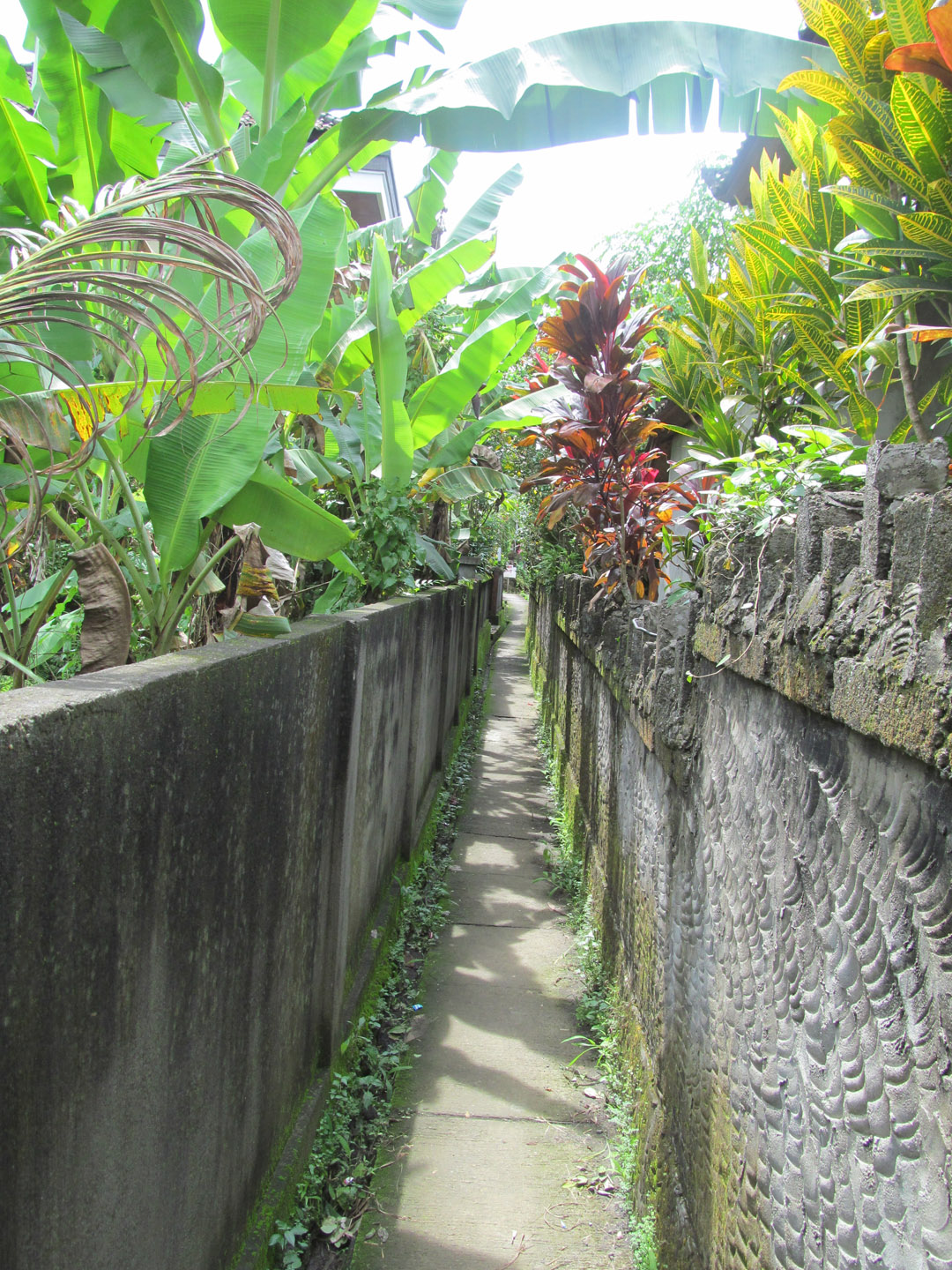 A sidewalk, or backway to the grocery store. It's almost like a  mini alley. Water irrigation systems follow these paths, feeding rice patties sequentially from the highlands to the sea.