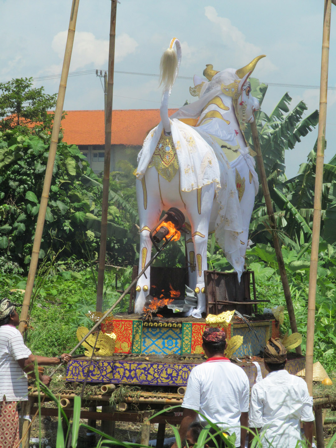 A priest is being cremated within the frame of this bull. Which animal you are cremated in depends on your caste. The very poor often have mass cremations, no animals included. Though many ceremonies are carried out with slow burning wood fires beneath the effigy, a different approach is taken here.