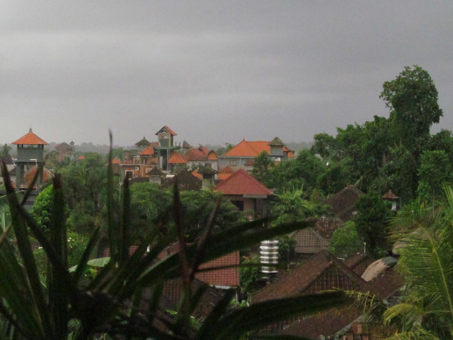 A view of Ubud from three stories up. 