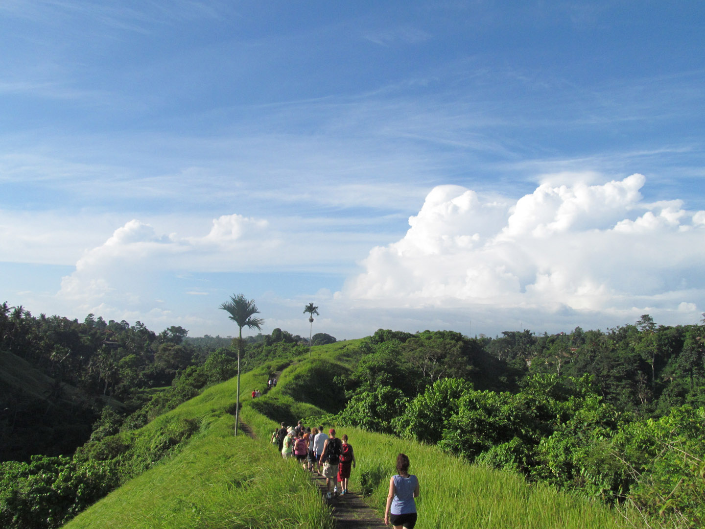 Hiking the "Ants Back"- the Campuan Ridge in Ubud one morning