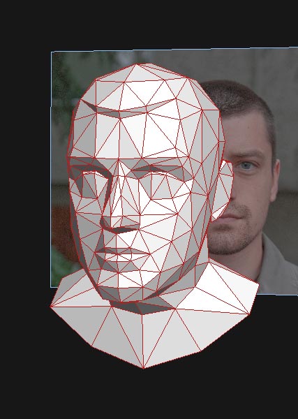 There are over one hundred triangles making up this face